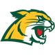 北密歇根大学logo
